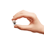 AC4A4F77-B5A9-4B91-A72B-E69AD9D9501C