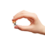 53017C8C-5711-26CC-5F94-987A3D80C4BD