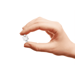 405DFE51-1AE9-1C7B-0C99-99BEEA9F1069