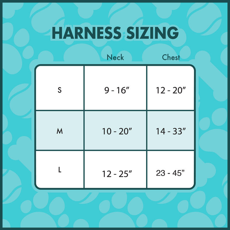 86BDD2F5-6E68-1618-638B-AA0887CCC025_df46e1a8-446d-4dc4-a371-2ba3e82167d9