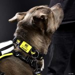 E3AE1283-8DF2-79D4-0B86-9111FFA4C26C