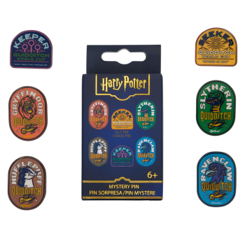 Harry Potter Exclusive Quidditch Mystery Box Pin